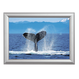 Artikelbild 1 für Showdown® Displays Klapprahmen silber 45,1 x 62,5 cm, 1 St., Artikelnummer 859306