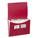 Artikelbild 1 für FolderSys Fächermappe 5 Fächer rot, 1 St., Artikelnummer 641894