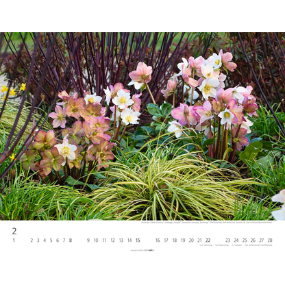 Artikelbild 3 für Weingarten Monats-Wandkalender Gräser 2026, 1 St., Artikelnummer 551164
