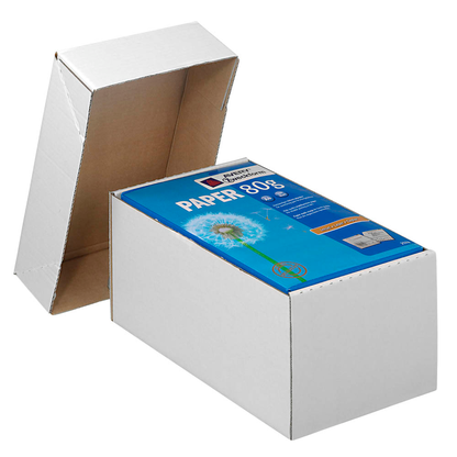 Artikelbild 2 für Nestler Kartons mit abnehmbarem Deckel 33,8 x 23,8 x 16,7 cm, 20 St., Artikelnummer 599324