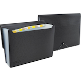 Artikelbild 1 für RAPESCO® Fächermappe Germ-Savvy 13 Fächer schwarz, 1 St., Artikelnummer 438372