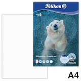 Artikelbild 1 für Pelikan Zeichenblock Zoo DIN A4 100 g/qm, 20 Blatt, 1 Block, Artikelnummer 612931