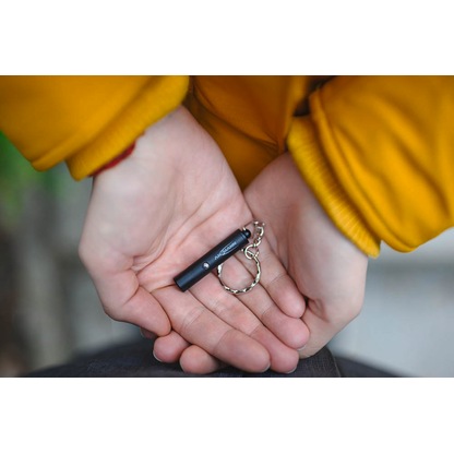 Artikelbild 5 für ANSMANN Keychain LED Taschenlampe schwarz 5,0 cm, 1 St., Artikelnummer 629289