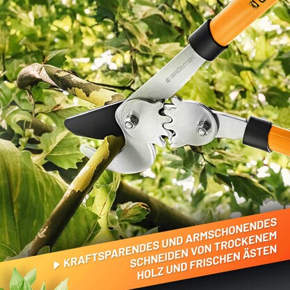 Artikelbild 6 für GRÜNTEK® T-REX Astschere, Artikelnummer 316368