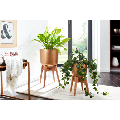 Artikelbild 4 für WOHNLING Pflanzenständer-Set Metall, Ø 31,0/25,0 cm gold, 2 St., Artikelnummer 166289