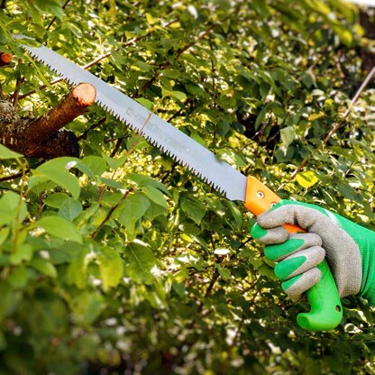 Artikelbild 3 für GRÜNTEK® Astsäge BARRAKUDA 300,0 mm, Artikelnummer 316376