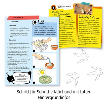 Artikelbild 6 für KOSMOS Experimentierkasten Fun Science Triops züchten mehrfarbig, Artikelnummer 820734
