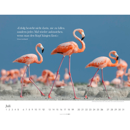 Artikelbild 8 für Weingarten Monats-Wandkalender Wege des Erfolgs 2026, 1 St., Artikelnummer 551087