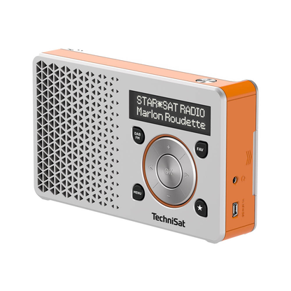 Artikelbild für TechniSat DIGITRADIO 1 Radio silber, orange, Artikelnummer 611119
