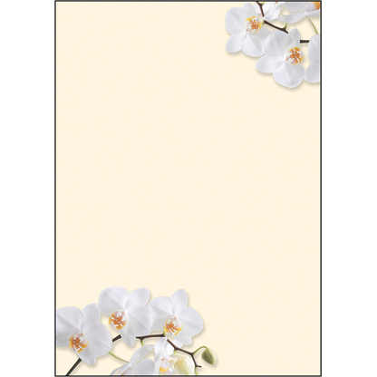 Artikelbild für SIGEL Motivpapier White Orchid Motiv DIN A4 90 g/qm 50 Blatt, Artikelnummer 449181