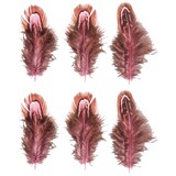 Artikelbild 1 für Rayher Federn pink, 6 St., Artikelnummer 153017