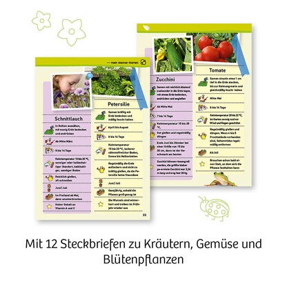 Artikelbild 8 für KOSMOS Experimentierkasten Mein erstes Gewächshaus mehrfarbig, Artikelnummer 820557