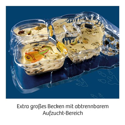 Artikelbild 4 für KOSMOS Experimentierkasten Triops-Welt Leben aus der Urzeit mehrfarbig, Artikelnummer 461042