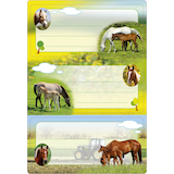 Artikelbild 1 für HERMA Schuletiketten Pferde, 6 Etiketten, Artikelnummer 709374