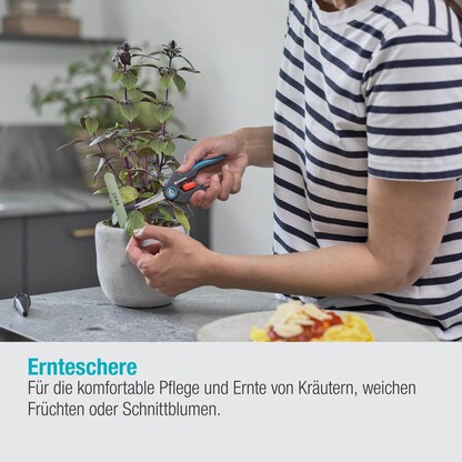 Artikelbild 6 für GARDENA FreshCut Gartenschere, Artikelnummer 211849
