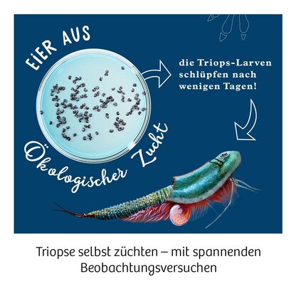 Artikelbild 5 für KOSMOS Experimentierkasten Triops-Welt Leben aus der Urzeit mehrfarbig, Artikelnummer 461042