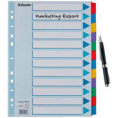 Artikelbild 3 für Esselte Ordnerregister DIN A4 Vollformat blanko farbig 12-teilig, 1 Satz, Artikelnummer 352864