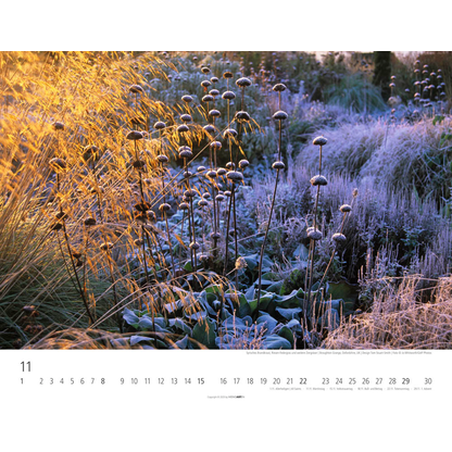 Artikelbild 12 für Weingarten Monats-Wandkalender Gräser 2026, 1 St., Artikelnummer 551164
