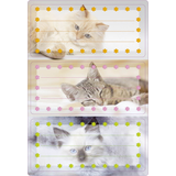 Artikelbild 1 für HERMA Schuletiketten Katzen, 6 Etiketten, Artikelnummer 709503