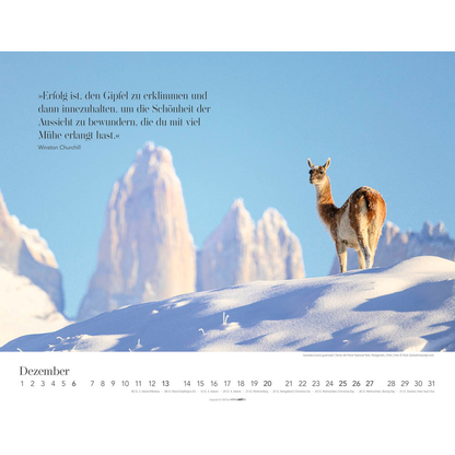 Artikelbild 13 für Weingarten Monats-Wandkalender Wege des Erfolgs 2026, 1 St., Artikelnummer 551087