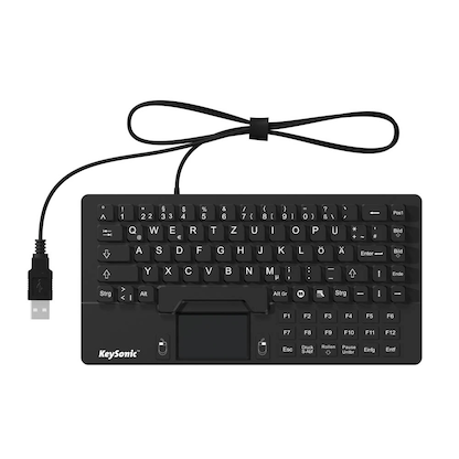 Artikelbild für RaidSonic ICY BOX® KSK-5031IN Tastatur kabelgebunden schwarz, Artikelnummer 200958