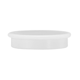 Artikelbild 1 für Magnete weiß, Kunststoff Ø 3,2 x 0,73 cm, 10 St., Artikelnummer 541250