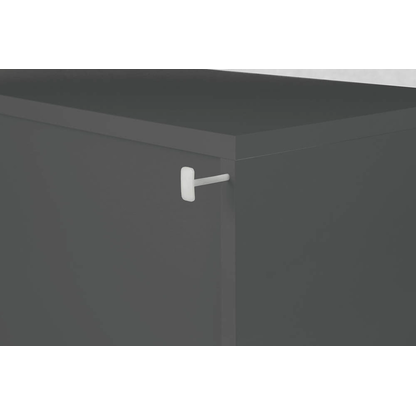 Artikelbild 12 für HAMMERBACHER Aktenregal FlexWall grafit 80,0 x 40,0 x 39,4 cm, 1 St., Artikelnummer 949663