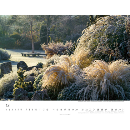 Artikelbild 13 für Weingarten Monats-Wandkalender Gräser 2026, 1 St., Artikelnummer 551164