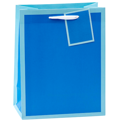 Artikelbild 3 für TSI Geschenktüten TREND MIT RAHMEN blau, rosa, rot, grün 18,0 x 23,0 cm, 12 St., Artikelnummer 651689