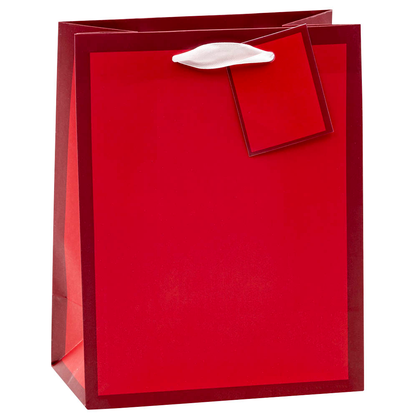 Artikelbild 5 für TSI Geschenktüten TREND MIT RAHMEN blau, rosa, rot, grün 18,0 x 23,0 cm, 12 St., Artikelnummer 651689