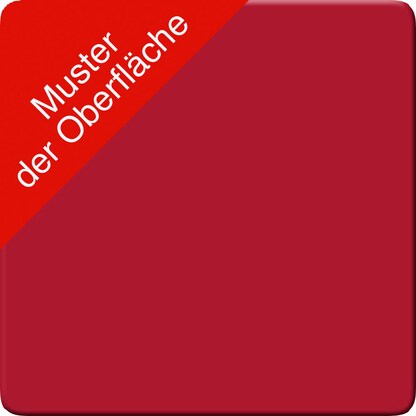 Artikelbild 3 für viasit Aktenregal System4 rubinrot 40,4 x 40,4 x 193,2 cm, 1 St., Artikelnummer 501904