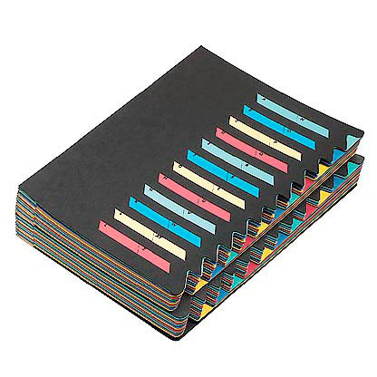 Artikelbild für PAGNA Ordnungsmappe 24 Fächer schwarz, 1 St., Artikelnummer 436378