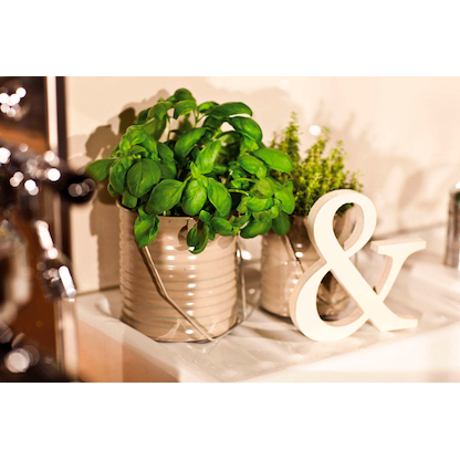 Artikelbild 3 für edding 5200 Acrylspray Sprühfarbe cremeweiß matt, 1 St., Artikelnummer 788982