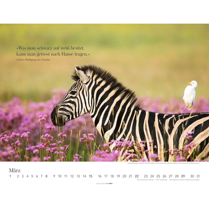 Artikelbild 4 für Weingarten Monats-Wandkalender Wege des Erfolgs 2026, 1 St., Artikelnummer 551087