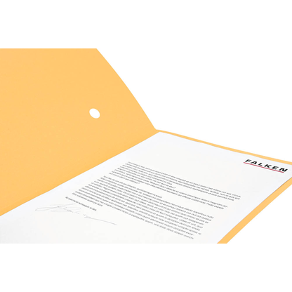 Artikelbild 4 für FALKEN Sammelmappe Forever® DIN A4 chamois, 1 St., Artikelnummer 187684