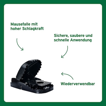 Artikelbild 6 für SUBSTRAL® Celaflor® Mausefallen Ultra Power schwarz, 2 St., Artikelnummer 664852