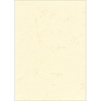 Artikelbild für RNK-Verlag Motivpapier Elefantenhaut chamois DIN A3 190 g/qm 10 Blatt, Artikelnummer 186761