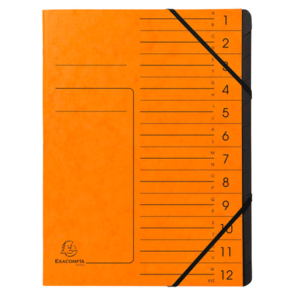 Artikelbild für Exacompta Ordnungsmappe 12 Fächer orange, 1 St., Artikelnummer 287104