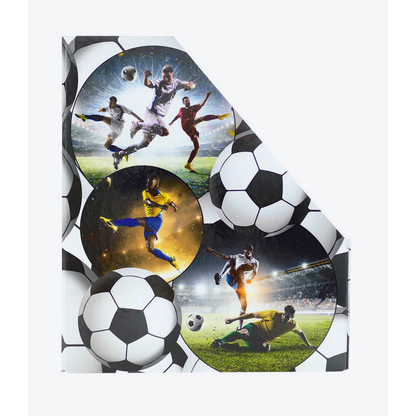 Artikelbild 5 für HERMA Stehsammler 19716 Fußball Karton, DIN A4, Artikelnummer 259356