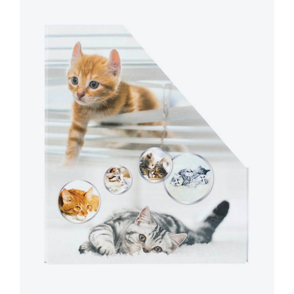 Artikelbild 4 für HERMA Stehsammler 19717 Katzen Karton, DIN A4, Artikelnummer 259368