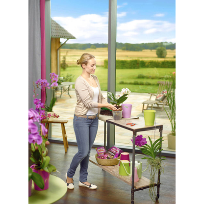 Artikelbild 5 für SUBSTRAL® Orchideen-Dünger Düngerstäbchen 10 St., Artikelnummer 368906