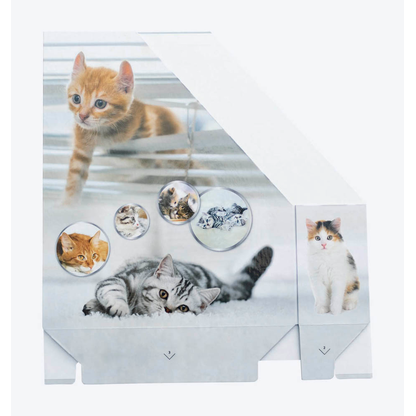 Artikelbild 5 für HERMA Stehsammler 19717 Katzen Karton, DIN A4, Artikelnummer 259368
