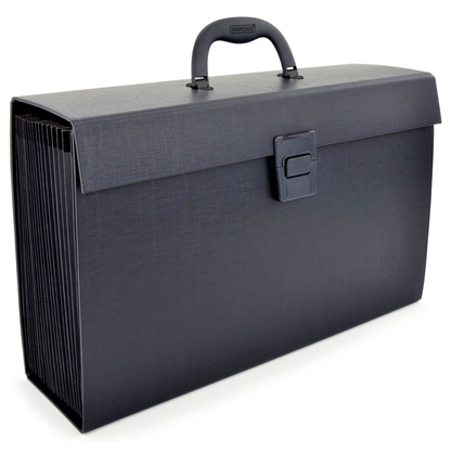 Artikelbild für RAPESCO® Fächermappe 19 Fächer schwarz, 1 St., Artikelnummer 154684