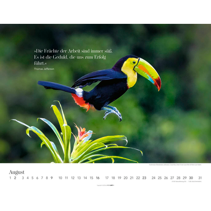 Artikelbild 9 für Weingarten Monats-Wandkalender Wege des Erfolgs 2026, 1 St., Artikelnummer 551087