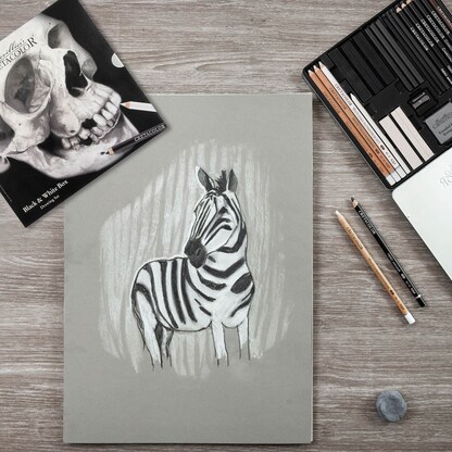 Artikelbild 7 für Brevillier's CRETACOLOR Skull-Edition Zeichenkohle farbsortiert 1 Set, Artikelnummer 225809