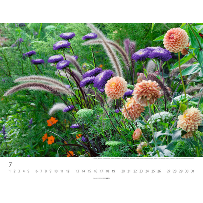 Artikelbild 8 für Weingarten Monats-Wandkalender Gräser 2026, 1 St., Artikelnummer 551164