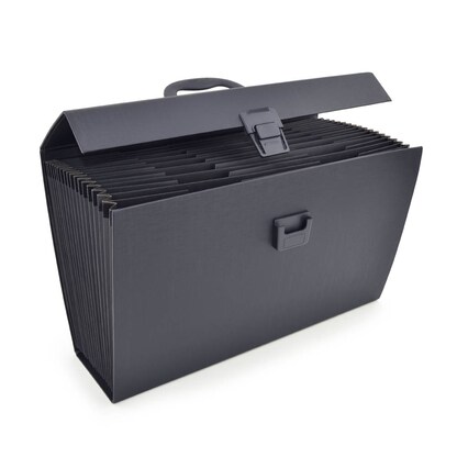 Artikelbild 4 für RAPESCO® Fächermappe 19 Fächer schwarz, 1 St., Artikelnummer 154684