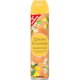 Artikelbild 1 für GUT&GÜNSTIG Raumspray Citrus 300,0 ml, 1 St., Artikelnummer 989133