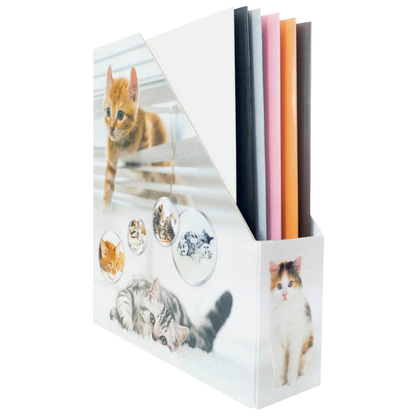 Artikelbild für HERMA Stehsammler 19717 Katzen Karton, DIN A4, Artikelnummer 259368