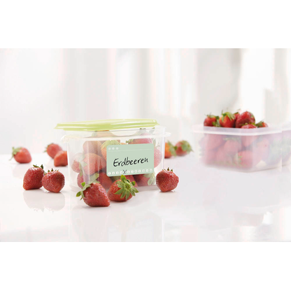 Artikelbild 5 für AVERY Zweckform Tiefkühletiketten 56822 Eiskristalle 58,0 x 38,0 mm, 50 Etiketten, Artikelnummer 102291